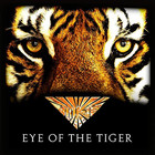 Eye of the Tiger – Survivor (song)